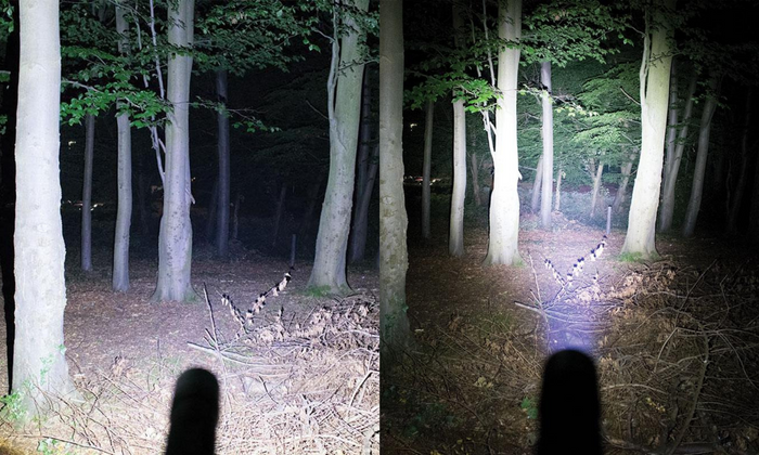 Zoom Flashlights and Head Torches Range